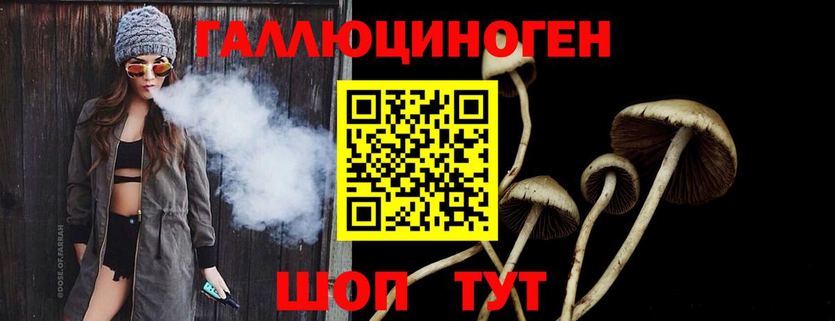 Псилоцибиновые грибы Psilocybine cubensis Нурлат
